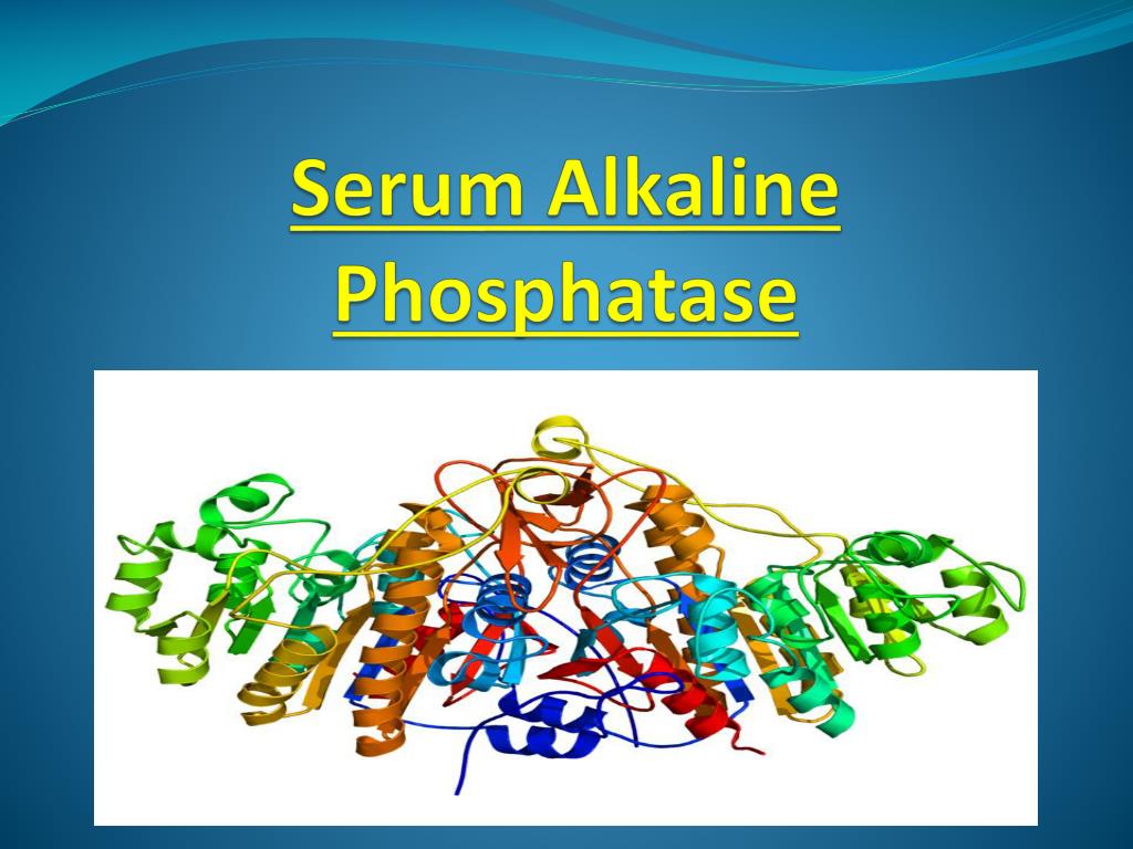 PPT - Serum Alkaline Phosphatase PowerPoint Presentation, free download ...