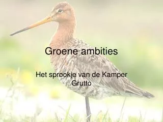 groene ambities