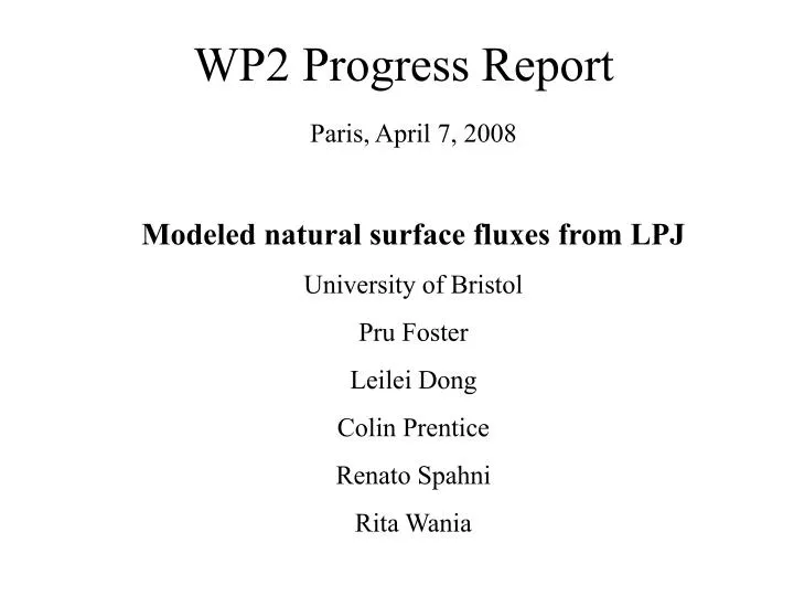 wp2 progress report