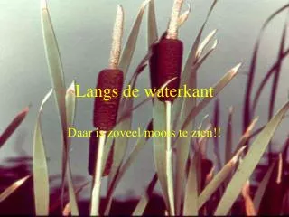 langs de waterkant