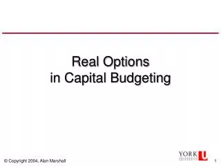 Real Options in Capital Budgeting