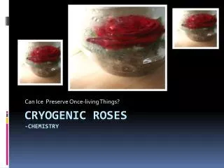Cryogenic Roses -Chemistry