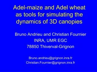 Adel-maize and Adel wheat as tools for simulating the dynamics of 3D canopies