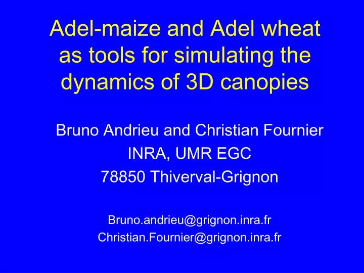 adel maize and adel wheat as tools for simulating the dynamics of 3d canopies