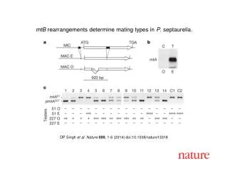 DP Singh et al. Nature 000 , 1-6 (2014) doi:10.1038/nature13318