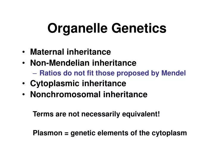 organelle genetics