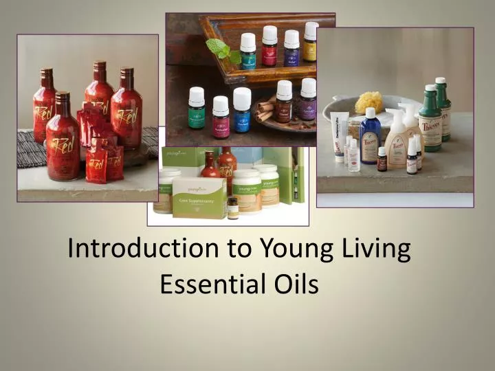 introduction to young living essential oils