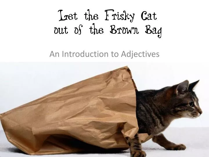 let the frisky cat out of the brown bag