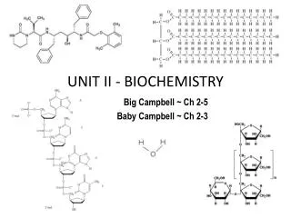 UNIT II - BIOCHEMISTRY