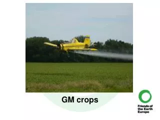 GM crops