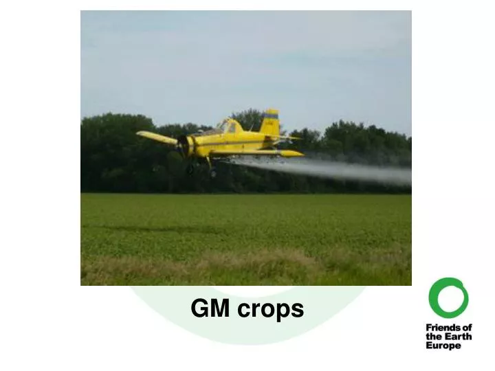 gm crops