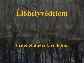 l helyv delem erdei l helyek v delme