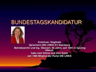 bundestagskandidatur