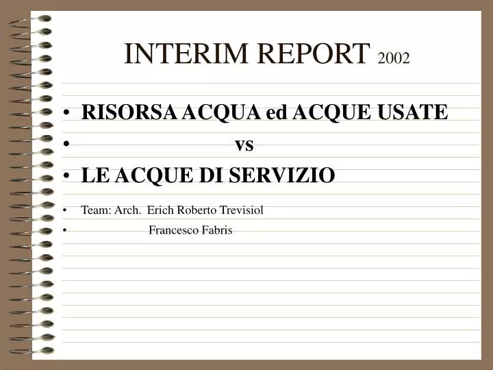 interim report 2002