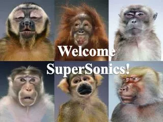 Welcome SuperSonics !