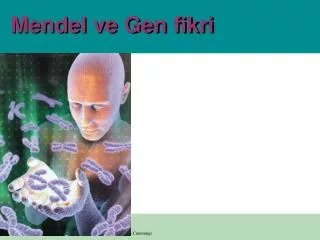 mendel ve gen fikri