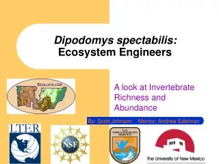 Dipodomys spectabilis: Ecosystem Engineers