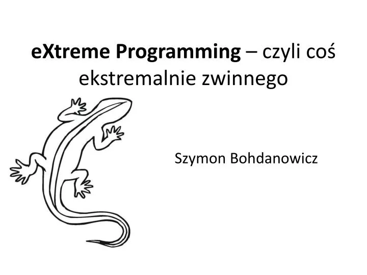 extreme programming czyli co ekstremalnie zwinnego