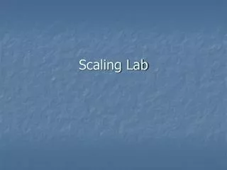 Scaling Lab