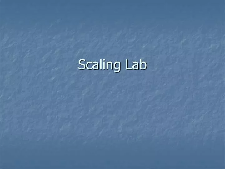 scaling lab