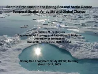 Benthic Processes in the Bering Sea and Arctic Ocean: