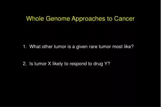 Whole Genome Approaches to Cancer