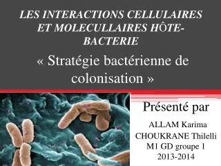 pr sent par allam karima choukrane thilelli m1 gd groupe 1 2013 2014