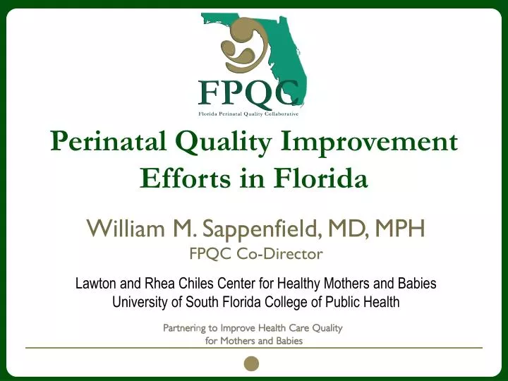 perinatal quality improvement efforts in florida