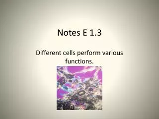 Notes E 1.3