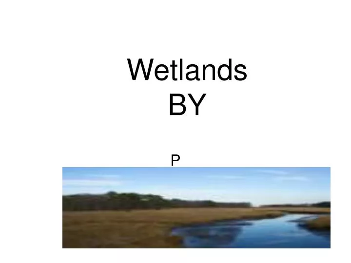 wetlands by