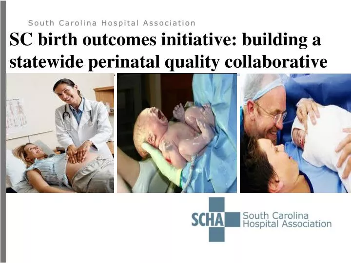 sc birth outcomes initiative building a statewide perinatal quality collaborative