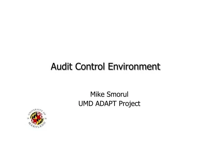 audit control environment