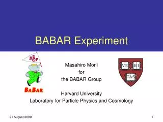 BABAR Experiment