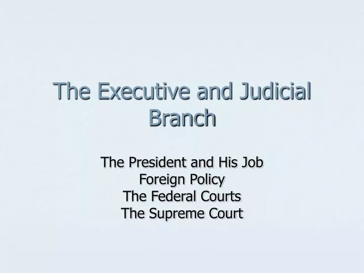 the executive and judicial branch