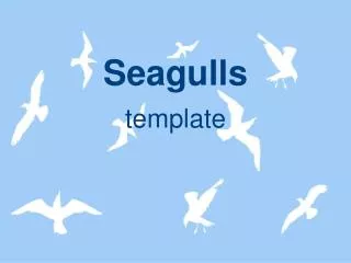 seagulls
