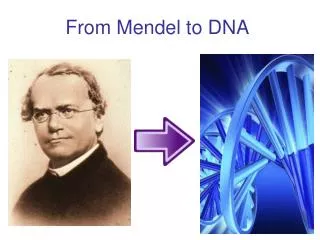 From Mendel to DNA