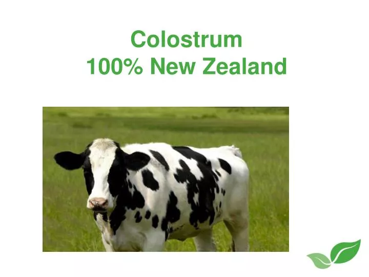 colostrum 100 new zealand
