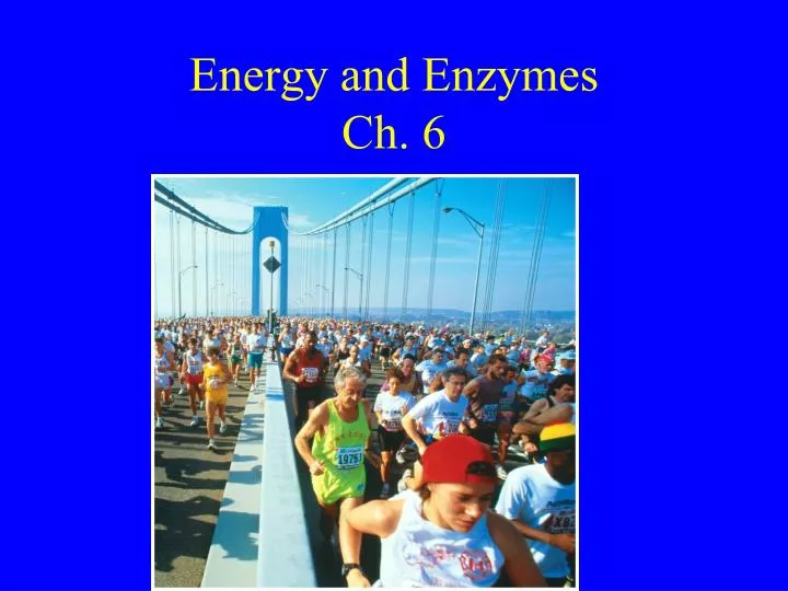 energy and enzymes ch 6