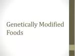 Genetically Modified Foods - slide 1