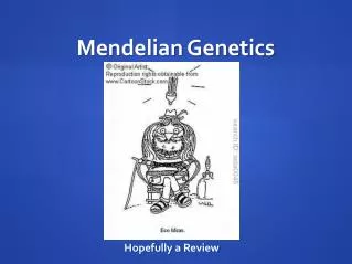 Mendelian Genetics