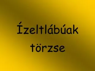 zeltl b ak