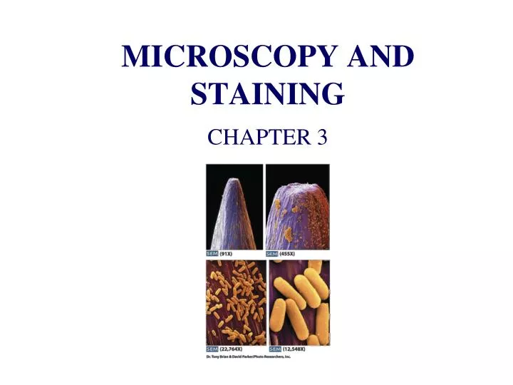 microscopy and staining