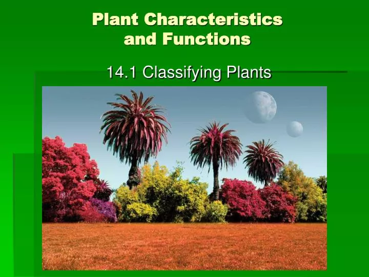 plant characteristics and functions