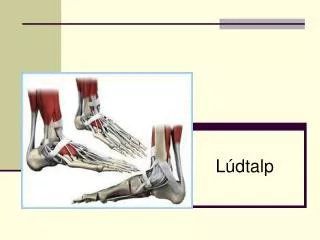 l dtalp