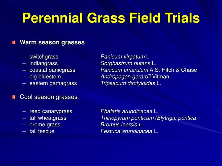 perennial grass field trials