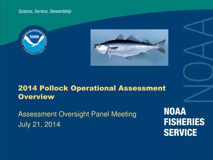 2014 pollock operational assessment overview