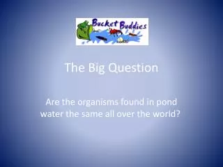 The Big Question