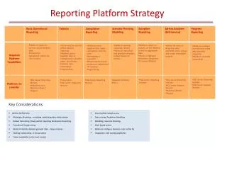 Reporting Platform Strategy