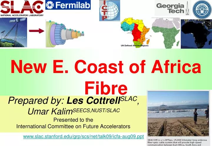 new e coast of africa fibre