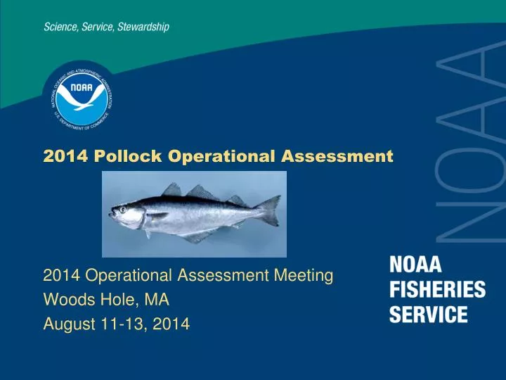 2014 pollock operational assessment